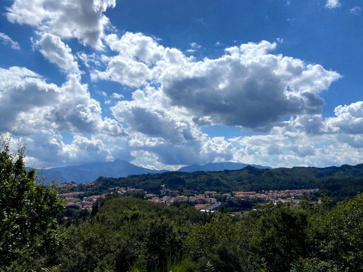 Casa Olivera- Apartament Al Passeig Font Vella Sant Hilari Sacalm Buitenkant foto